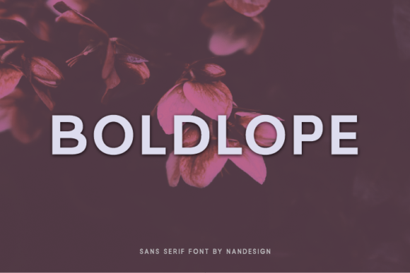 Boldlope: The Minimal Sans Serif Font for Crafters
