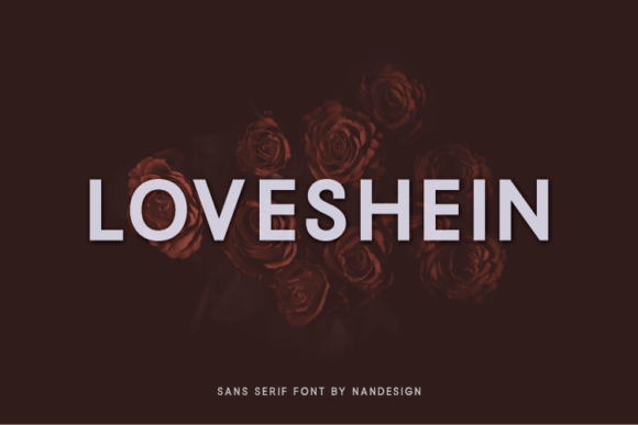 Loveshein: The Minimal Sans Serif Font for Modern Makers