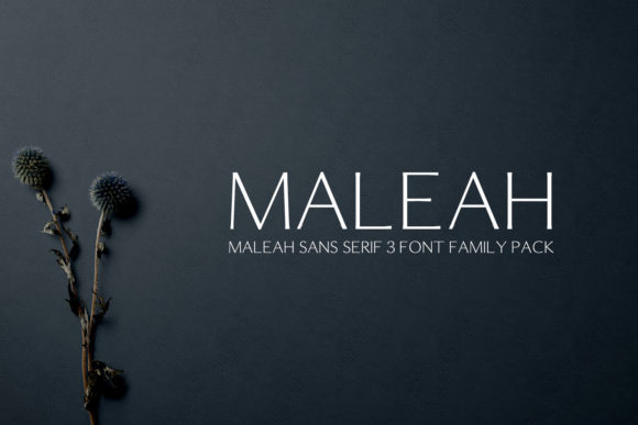 Maleah Font: A Clean Sans Serif for Modern Web Design